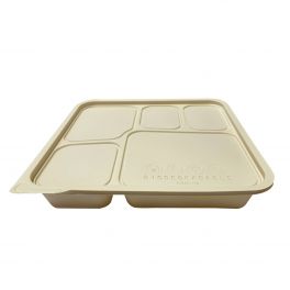 Biodegradable Classy Bento Set : type 5  comparment / 950ml
