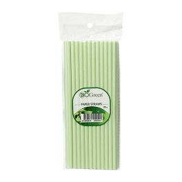Biogreen Biodegradable Paper Straw 25's